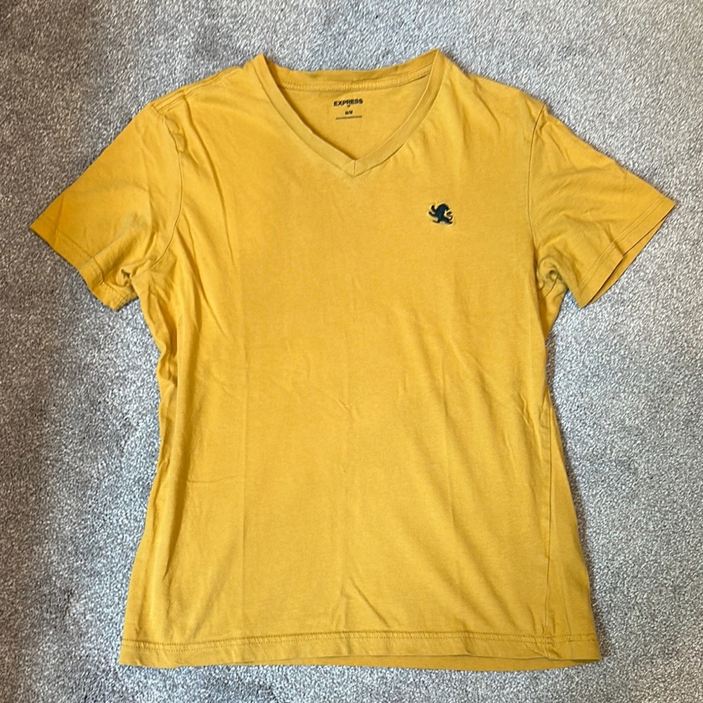 Mens V-Neck T-Shirt